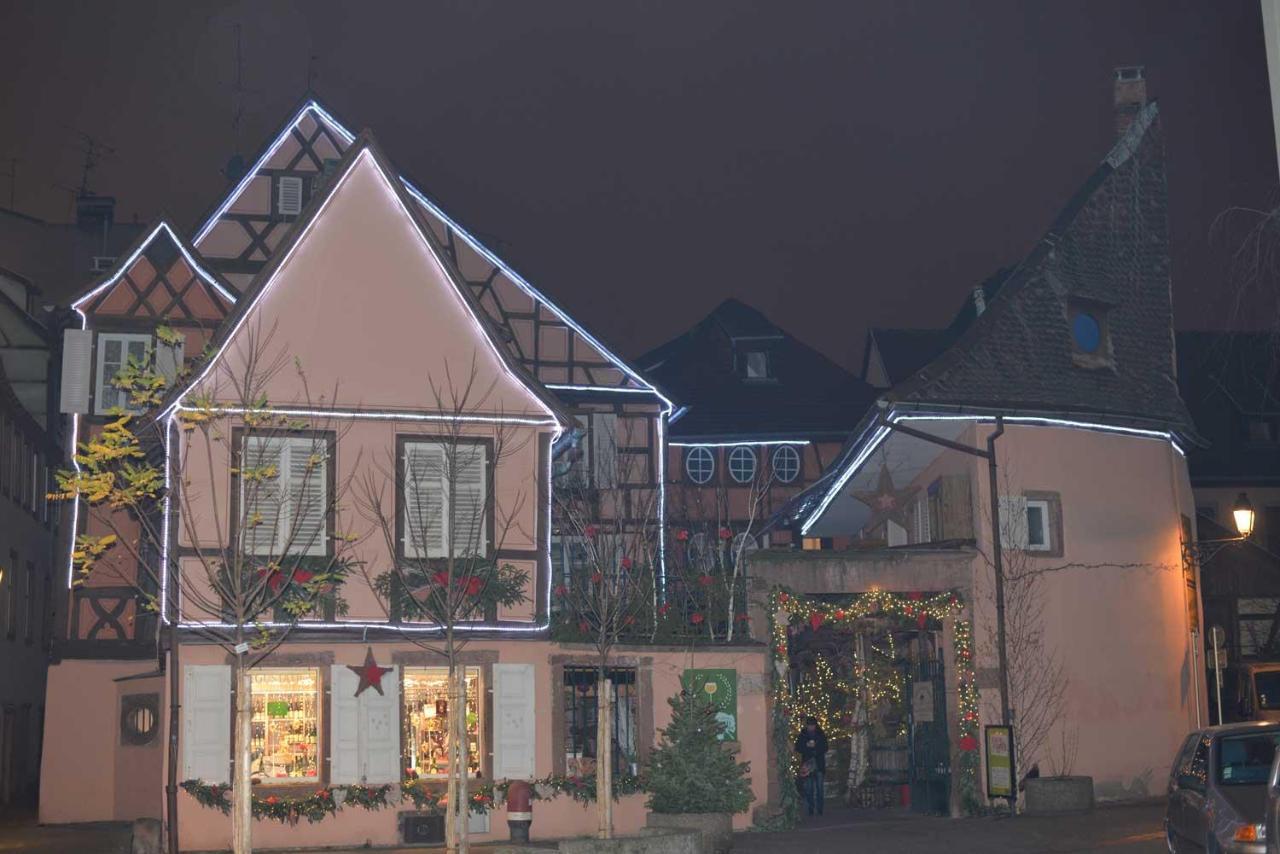 Chez Myriam Bed And Breakfast Studio Parme Colmar Exterior photo